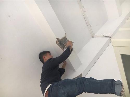 自動化安全監(jiān)測工程